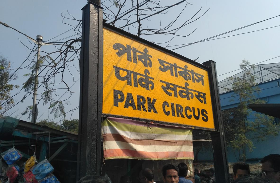 Park Circus Call Girls